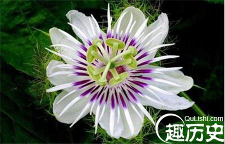 1486953852107654.jpg 2_副本.jpg