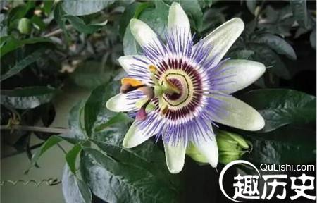 1486953857228418.jpg 3_副本.jpg