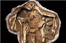盘点：揭秘最令人惊奇的七大远古化石 