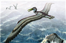 揭秘：史前鸟类进化出翅膀或只为了取暖