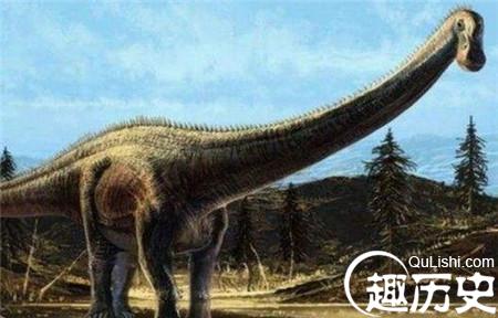 巨型恐龙的秘密:之字形骨头支撑长脖子