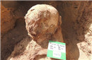 学者发现埃及巨型墓地 葬百万具木乃伊