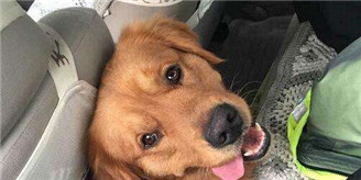 清朝最苦命公主的人生沉浮：屡次改嫁 女儿诈骗