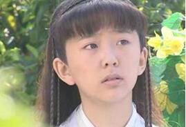 揭秘杨文广与穆桂英究竟是夫妻还是母子关系?