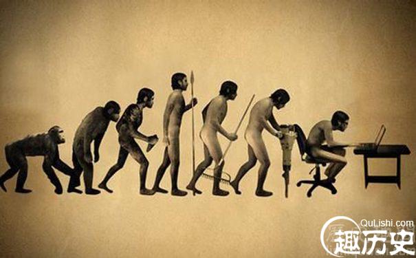 进化的人类