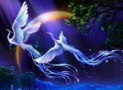 中国古代传说中凤育九雏是分别是哪九雏？