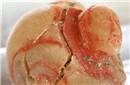 玛雅公主墓葬被发现 尸体上为何盖满红色贝壳