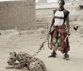 非洲一些部落吵架不动手：一言不合就放狗