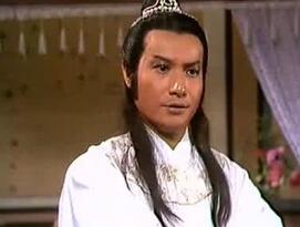 一心兴复大燕慕容复是大燕的皇族后裔吗