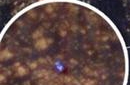 “好奇”号火星探测器被抓拍：孤独的一抹蓝