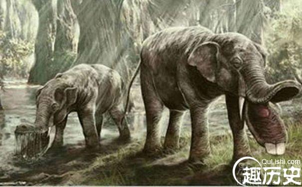 惊叹不已!动物七大最神奇的进化祖先