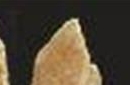 10万年前古人骨上有噬痕：不排除竟被人食用
