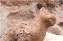 近2000年的东汉崖墓重见天日 陶鸡陶狗被挖掘
