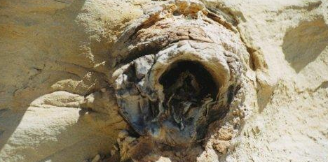 青海德令哈外是外星人的遗址吗?奇闻异事之下掩盖着大量事实