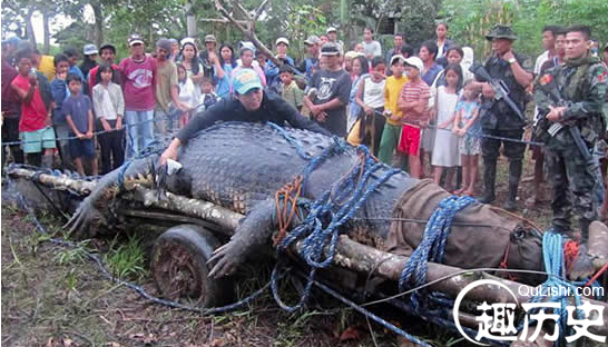 震惊:世界最大的动物长达80米 盘点10个巨型恐怖动物