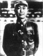 赞美抗日英雄的诗句：海鸥将军千古