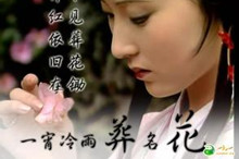 《红楼梦》人名拾趣 看完你还敢说你懂了红楼梦吗