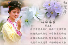 盘点《红楼梦》里的唯美诗词