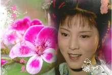 《红楼梦》中的袭人最后嫁给了谁？