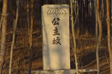 北京的公主坟埋着清朝哪位公主？ 北京公主坟来历