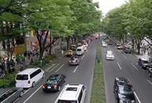 为什么日本人靠左通行？真相竟如此残酷