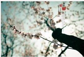 汪国真经典诗文：汪国真最脍炙人口的十首诗歌