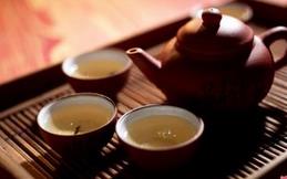 茶的第一发现者是谁？古代什么时候开始饮茶