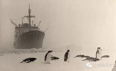 老照片：1955年苏联人远征南极