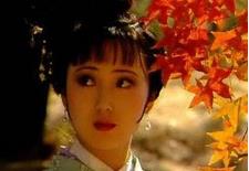 林黛玉的才华从何体现？文采兼具还是理财能手