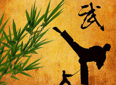 盘点中国48个武术之乡！你的家乡上榜了吗