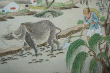 耕田的历史：中国历史上何时起开始了耕田？