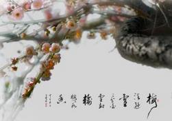 梅开二度是什么意思？梅开二度的由来典故
