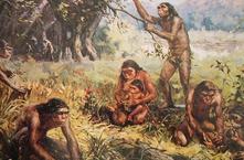 人是猿人进化而来那么猿人是从哪里来的？