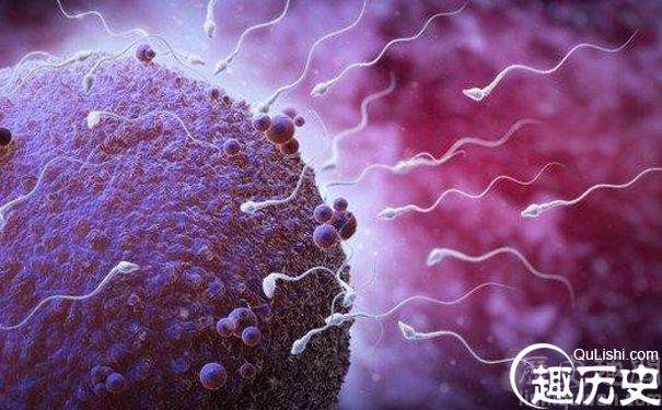 科学家发现，男性精液竟然能帮助女性治疗癌症？