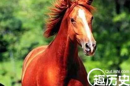 关羽到底有没有赤兔马？别再被演义骗了，事实是...