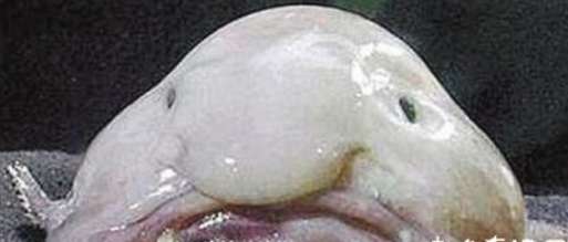 blob.png