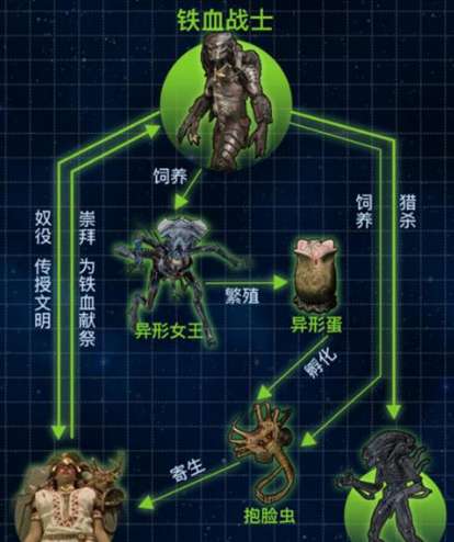 《铁血战士》铁血战士和异形是什么关系？铁血战士和人类是什么关系