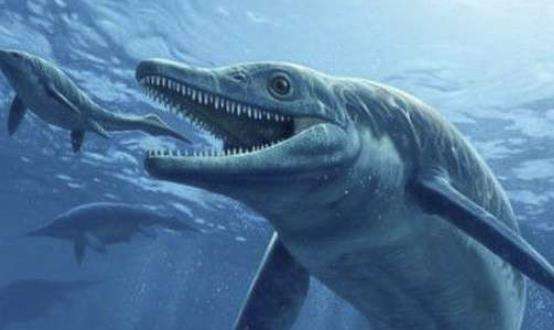 世界上最凶残的动物，史前巨兽龙王鲸