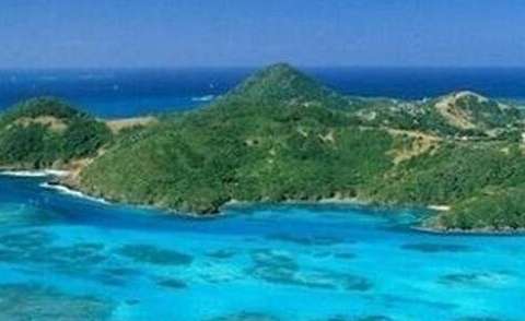 马尾藻海：被称为大西洋海上坟场