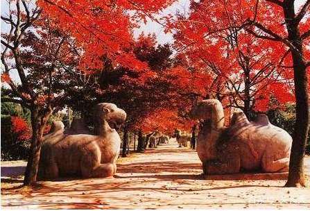 洪武之治---骑在&ldquo;牛背&rdquo;上的皇帝朱元璋