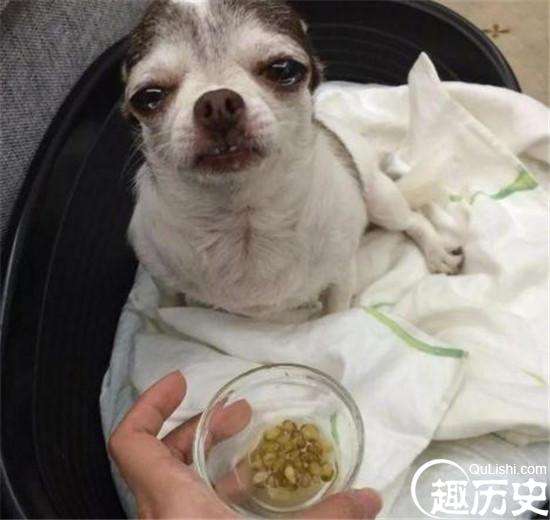20180131102814394.jpg