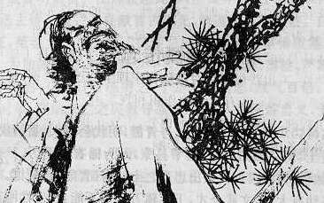 明朝沈炼生平简介，最后是怎么死的？