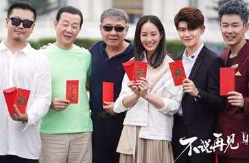 《不说再见》电视剧什么时候播出？电视剧演员表及剧情介绍