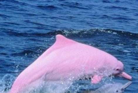 blob.png