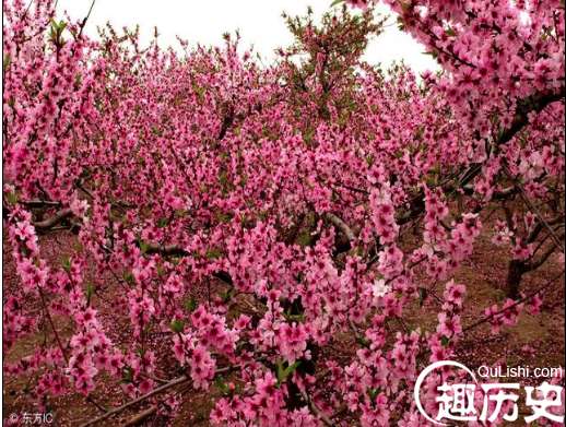 司马迁用这一句话来形容李广，完全凸显了他的君子风范