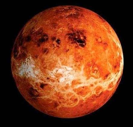 如果把蟑螂送到金星上 将会发生什么样的事情