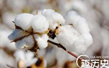 明朝才开始大规模种植棉花，在此之前的古人冬天怎么过？