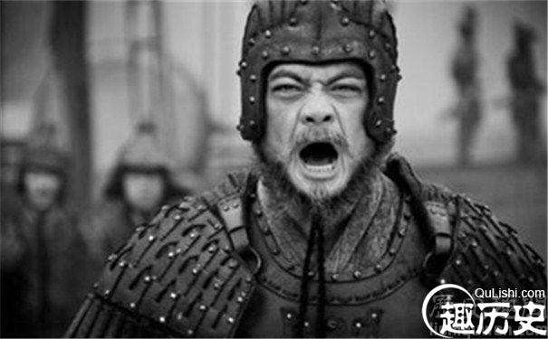 后人为什么多称赞姜维，批判魏延其中的原因是什么？