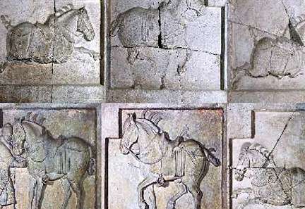 唐高宗李治欲杀权善才，狄仁杰是怎么救的他？