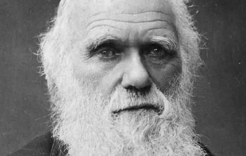 查尔斯·罗伯特·达尔文